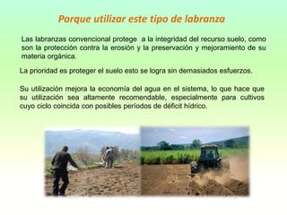 Las labranzas convencional protege a la integridad del recurso suelo, como
son la protección contra la erosión y la preservación y mejoramiento de su
materia orgánica.
La prioridad es proteger el suelo esto se logra sin demasiados esfuerzos.
Su utilización mejora la economía del agua en el sistema, lo que hace que
su utilización sea altamente recomendable, especialmente para cultivos
cuyo ciclo coincida con posibles períodos de déficit hídrico.
Porque utilizar este tipo de labranza
 