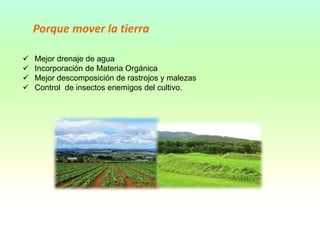  Mejor drenaje de agua
 Incorporación de Materia Orgánica
 Mejor descomposición de rastrojos y malezas
 Control de insectos enemigos del cultivo.
Porque mover la tierra
 