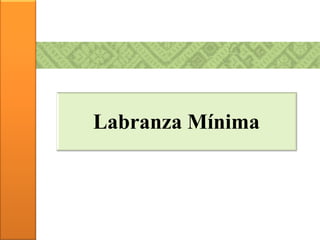 Labranza Mínima
 