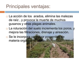 Principales ventajas:
   La acción de los arados, elimina las malezas
    de raíz , y provoca la muerte de muchos
    gusanos y otras plagas animales.
   La roturación del suelo incrementa los poros, y
    mejora las filtraciones, drenaje y aireación.
   Se le incorpora un mayor porcentaje de
    materia orgánica al suelo
 