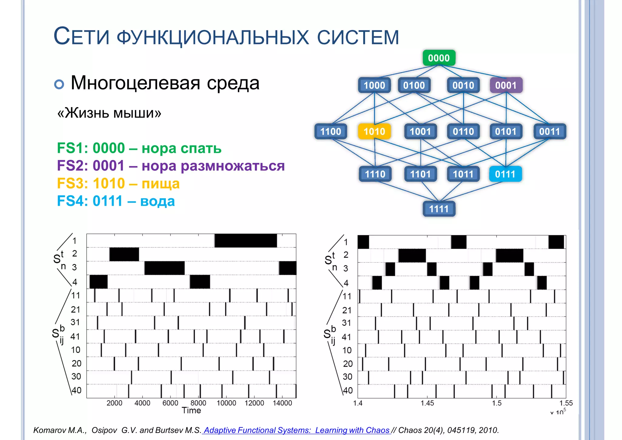 СЕТИ ФУНКЦИОНАЛЬНЫХ СИСТЕМ
 Многоцелевая среда
0000
1000 0100 0010 0001
1111
1110 1101 1011 0111
1100 1010 1001 0110 0101 0011
«Жизнь мыши»
FS1: 0000 – нора спать
FS2: 0001 – нора размножаться
FS3: 1010 – пища
FS4: 0111 – вода
Komarov M.A., Osipov G.V. and Burtsev M.S. Adaptive Functional Systems: Learning with Chaos // Chaos 20(4), 045119, 2010.
 