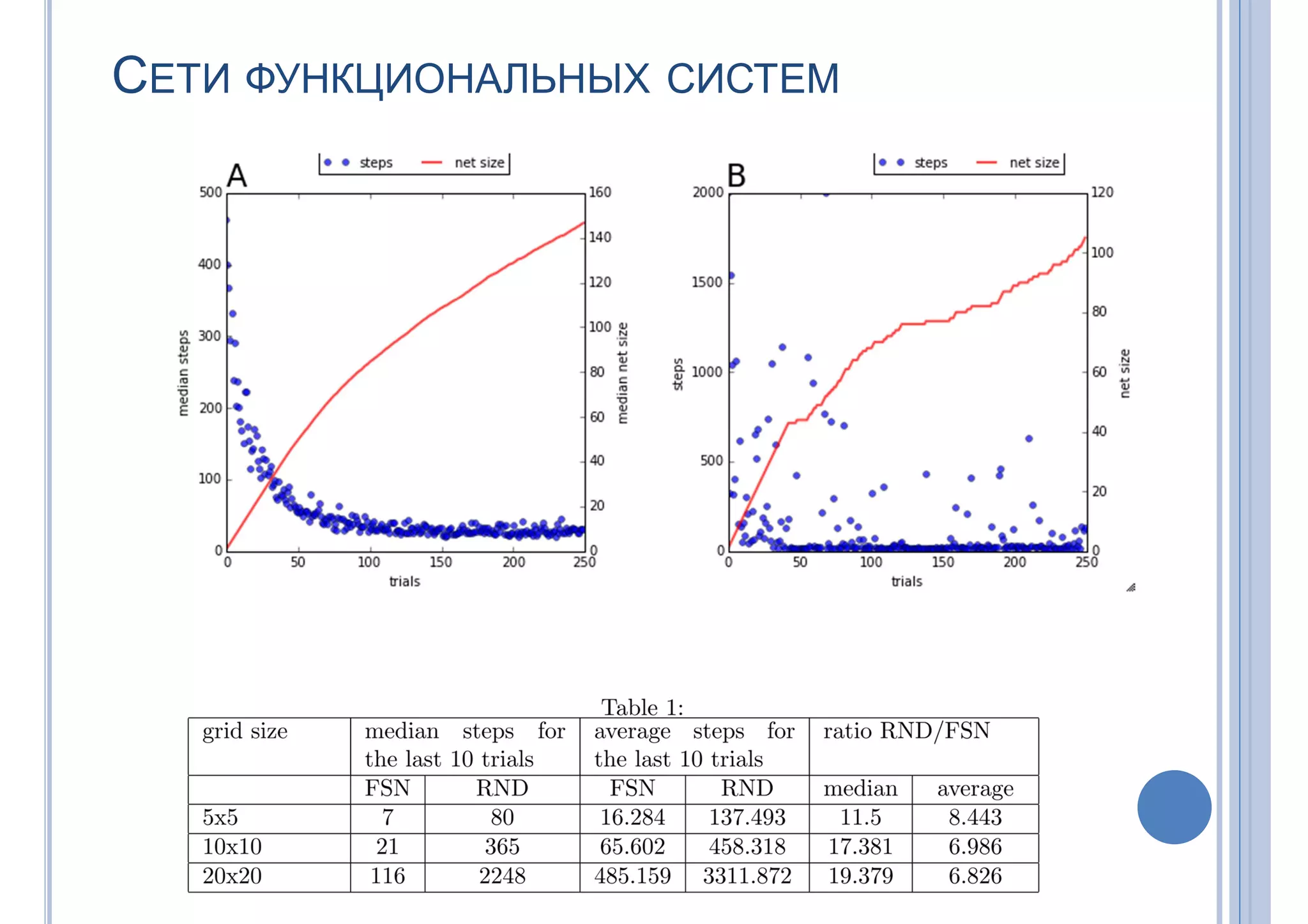 СЕТИ ФУНКЦИОНАЛЬНЫХ СИСТЕМ
 