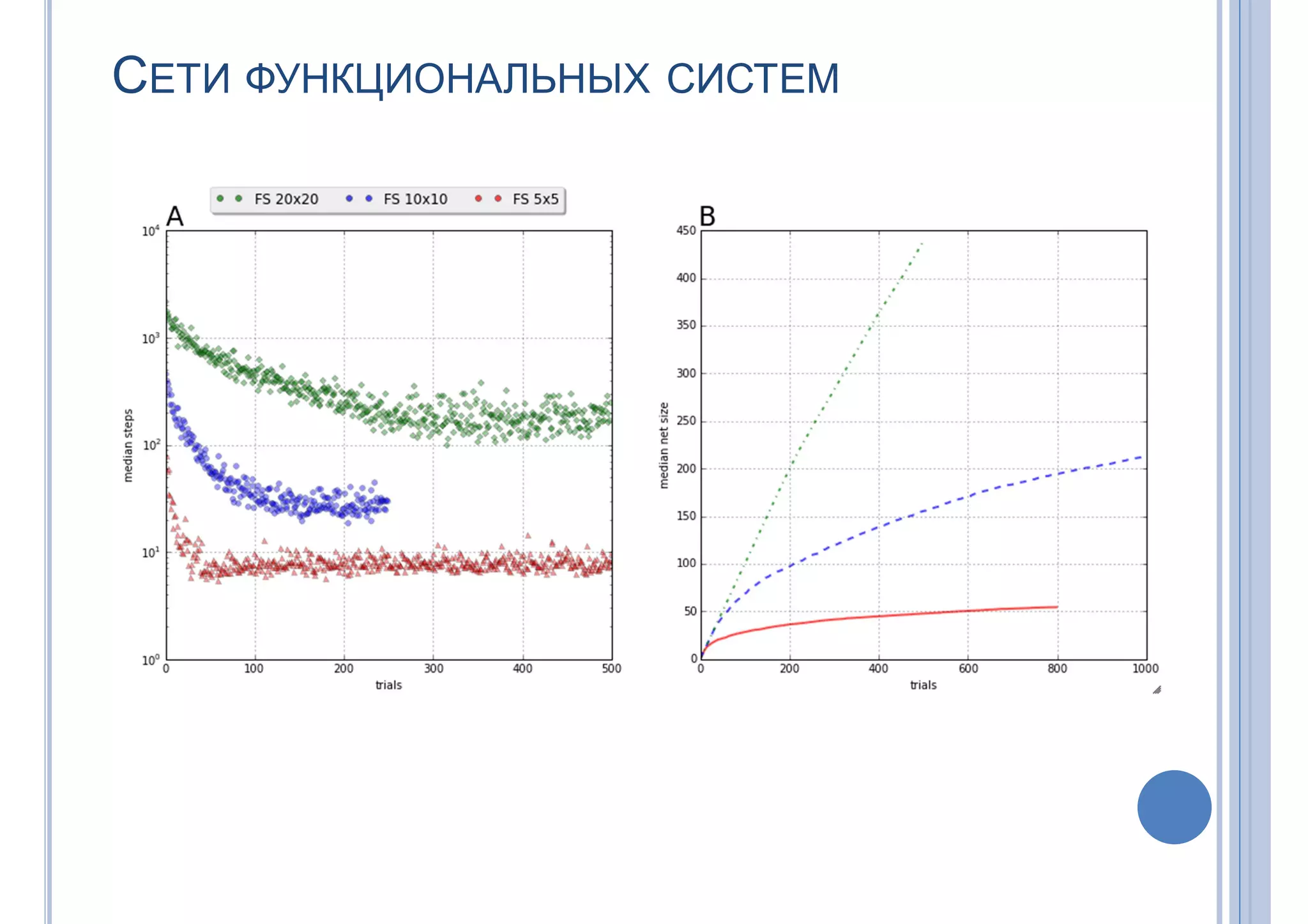 СЕТИ ФУНКЦИОНАЛЬНЫХ СИСТЕМ
 