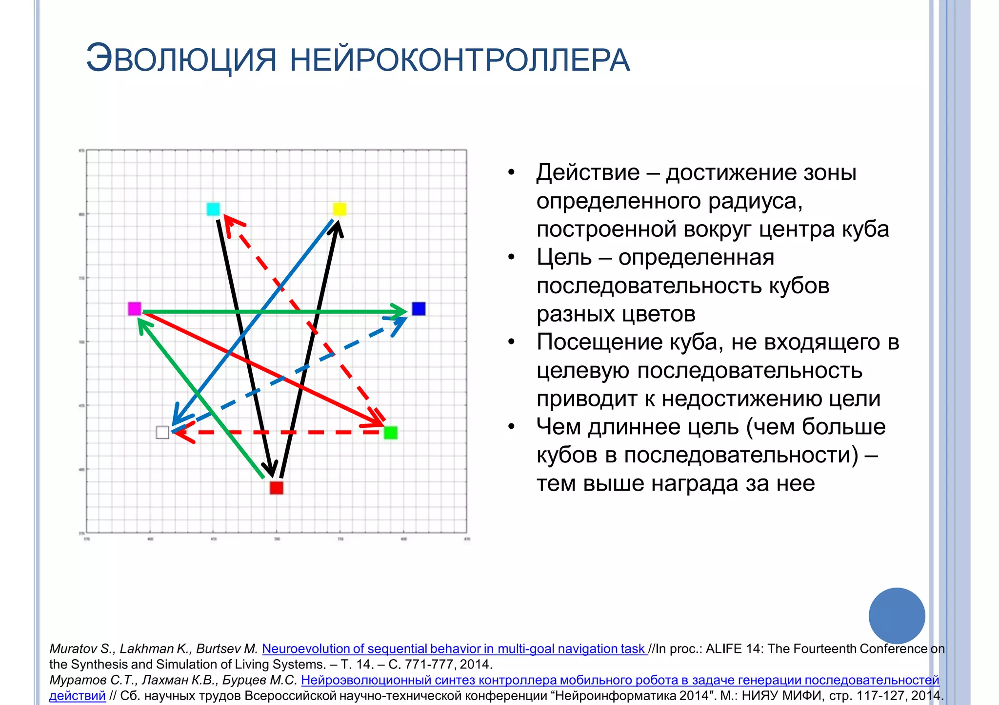 ЭВОЛЮЦИЯ НЕЙРОКОНТРОЛЛЕРА
• Действие – достижение зоны
определенного радиуса,
построенной вокруг центра куба
• Цель – определенная
последовательность кубов
разных цветов
• Посещение куба, не входящего в
целевую последовательность
приводит к недостижению цели
• Чем длиннее цель (чем больше
кубов в последовательности) –
тем выше награда за нее
Muratov S., Lakhman K., Burtsev M. Neuroevolution of sequential behavior in multi-goal navigation task //In proc.: ALIFE 14: The Fourteenth Conference on
the Synthesis and Simulation of Living Systems. – Т. 14. – С. 771-777, 2014.
Муратов С.Т., Лахман К.В., Бурцев М.С. Нейроэволюционный синтез контроллера мобильного робота в задаче генерации последовательностей
действий // Сб. научных трудов Всероссийской научно-технической конференции “Нейроинформатика 2014″. М.: НИЯУ МИФИ, стр. 117-127, 2014.
 