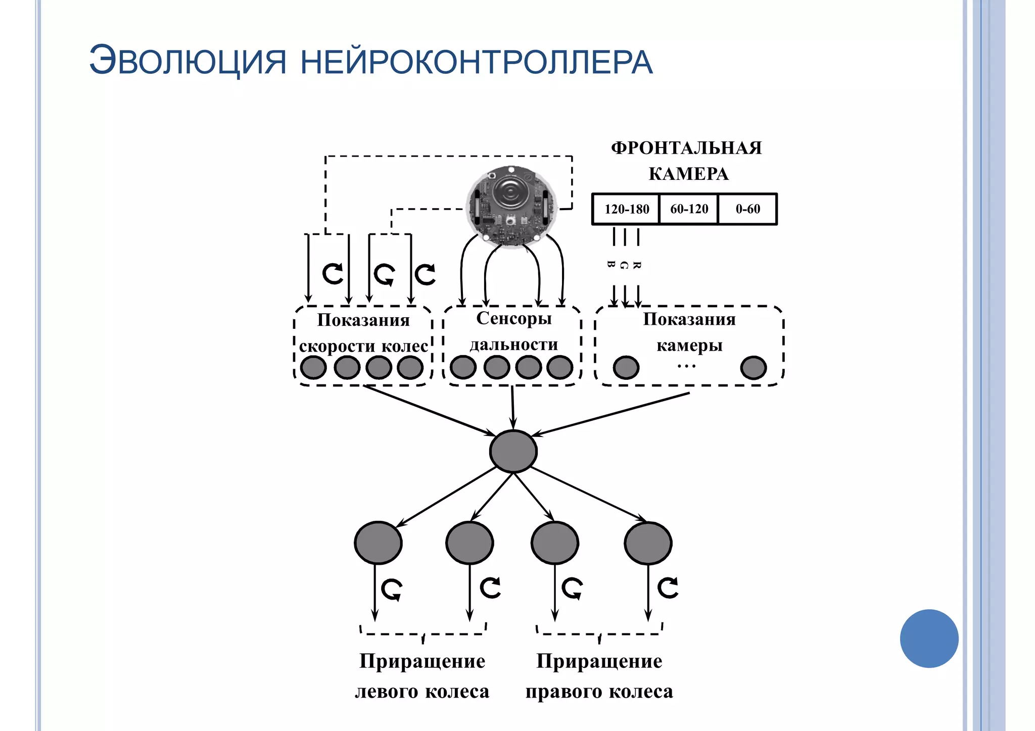 ЭВОЛЮЦИЯ НЕЙРОКОНТРОЛЛЕРА
Показания
камеры
Сенсоры
дальности
Показания
скорости колес
⋯
R
G
B
120-180 0-6060-120
ФРОНТАЛЬНАЯ
КАМЕРА
Приращение
правого колеса
Приращение
левого колеса
 
