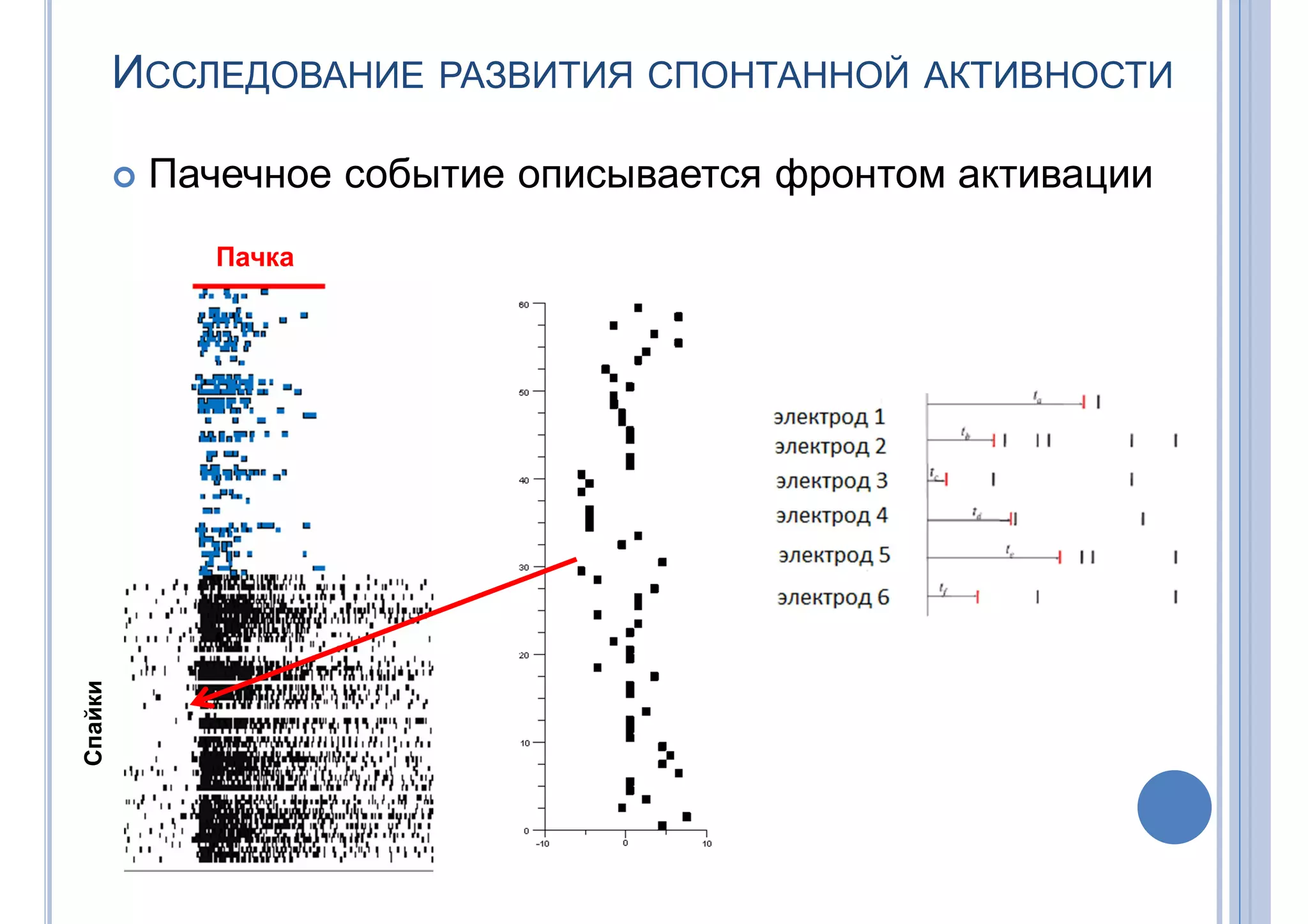 ИССЛЕДОВАНИЕ РАЗВИТИЯ СПОНТАННОЙ АКТИВНОСТИ
 Пачечное событие описывается фронтом активации
Пачка
Спайки
 