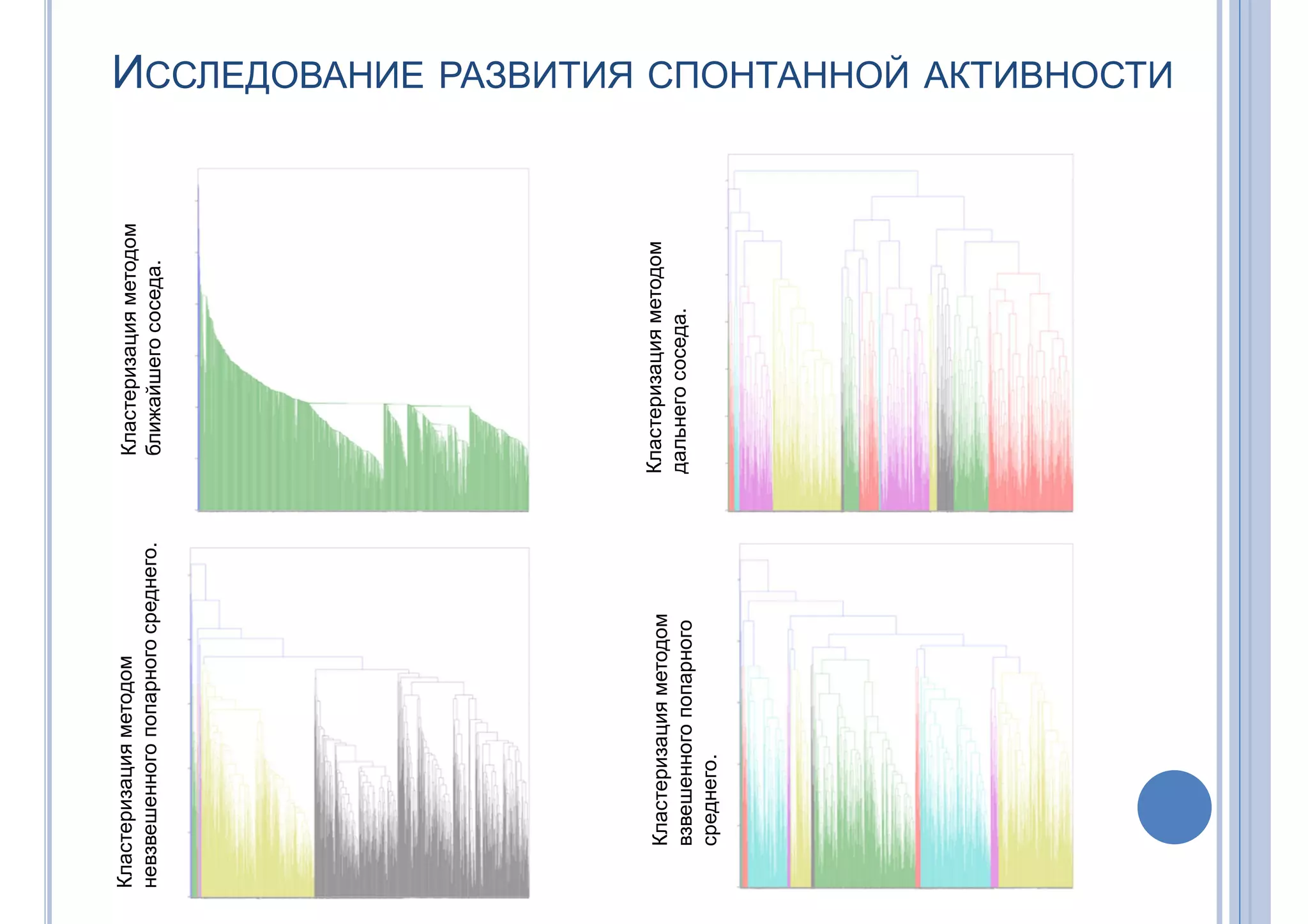 ИССЛЕДОВАНИЕ РАЗВИТИЯ СПОНТАННОЙ АКТИВНОСТИ
Кластеризацияметодом
ближайшегососеда.
Кластеризацияметодом
невзвешенногопопарногосреднего.
Кластеризацияметодом
дальнегососеда.
Кластеризацияметодом
взвешенногопопарного
среднего.
 