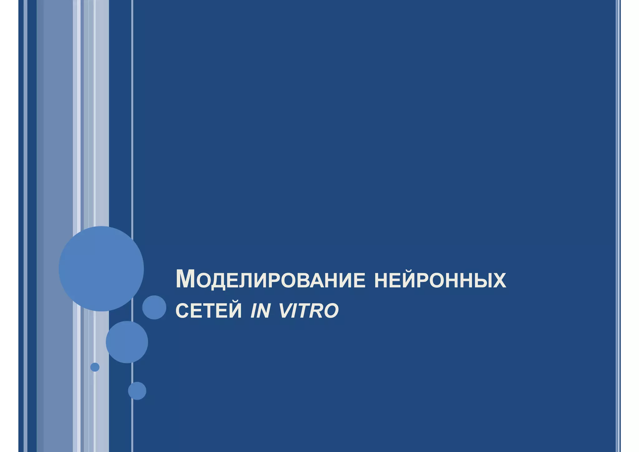 МОДЕЛИРОВАНИЕ НЕЙРОННЫХ
СЕТЕЙ IN VITRO
 