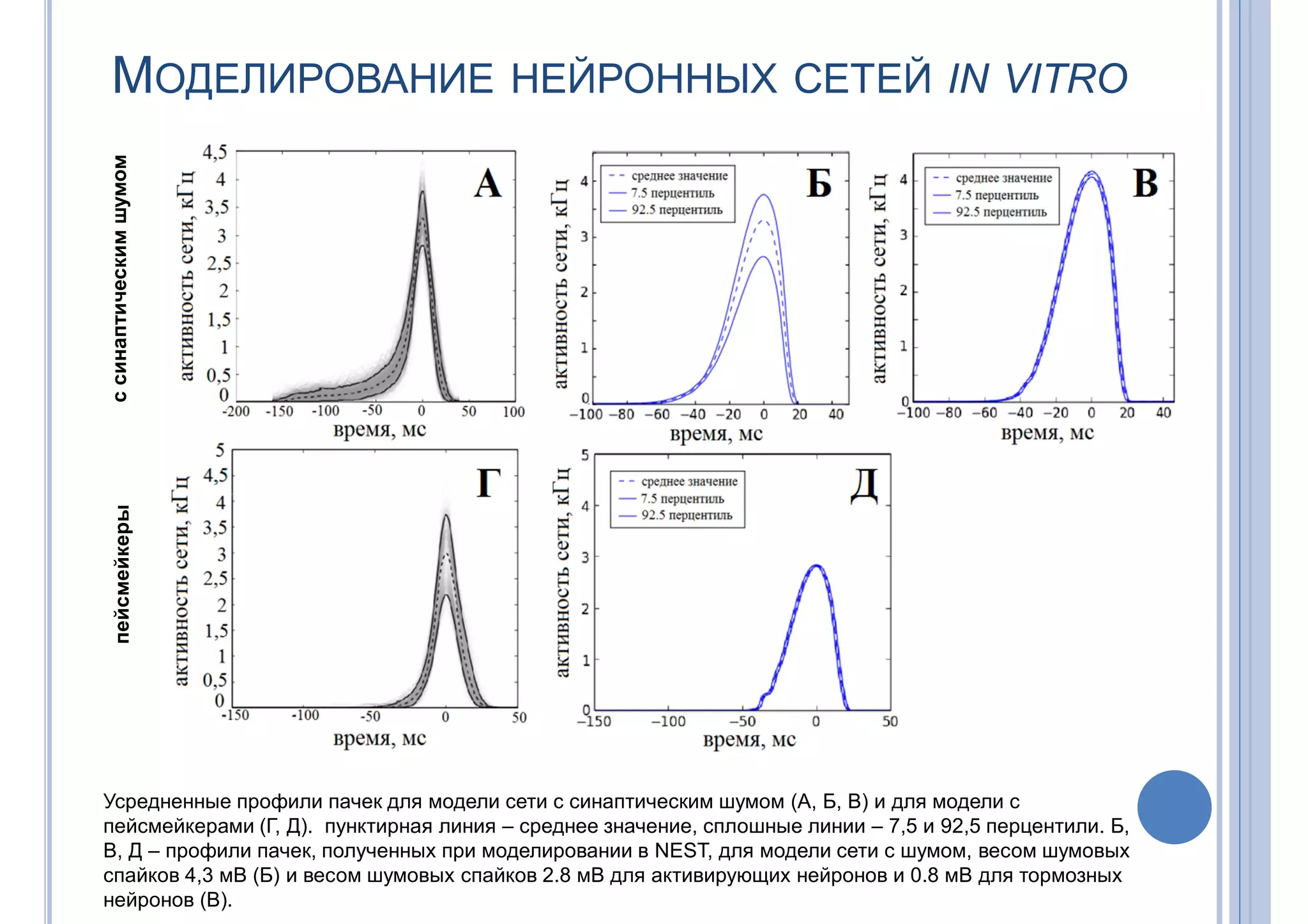 МОДЕЛИРОВАНИЕ НЕЙРОННЫХ СЕТЕЙ IN VITRO
Усредненные профили пачек для модели сети с синаптическим шумом (А, Б, В) и для модели с
пейсмейкерами (Г, Д). пунктирная линия – среднее значение, сплошные линии – 7,5 и 92,5 перцентили. Б,
В, Д – профили пачек, полученных при моделировании в NEST, для модели сети с шумом, весом шумовых
спайков 4,3 мВ (Б) и весом шумовых спайков 2.8 мВ для активирующих нейронов и 0.8 мВ для тормозных
нейронов (В).
ссинаптическимшумомпейсмейкеры
 