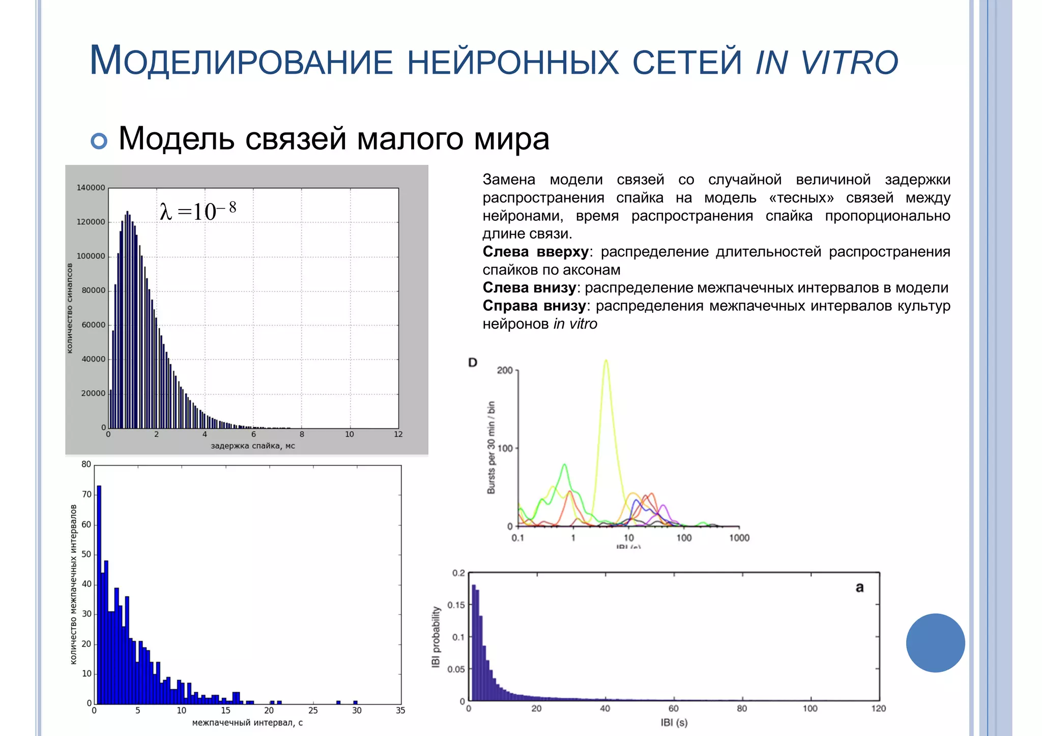 МОДЕЛИРОВАНИЕ НЕЙРОННЫХ СЕТЕЙ IN VITRO
 Модель связей малого мира
Замена модели связей со случайной величиной задержки
распространения спайка на модель «тесных» связей между
нейронами, время распространения спайка пропорционально
длине связи.
Слева вверху: распределение длительностей распространения
спайков по аксонам
Слева внизу: распределение межпачечных интервалов в модели
Справа внизу: распределения межпачечных интервалов культур
нейронов in vitro
λ =10– 8
 