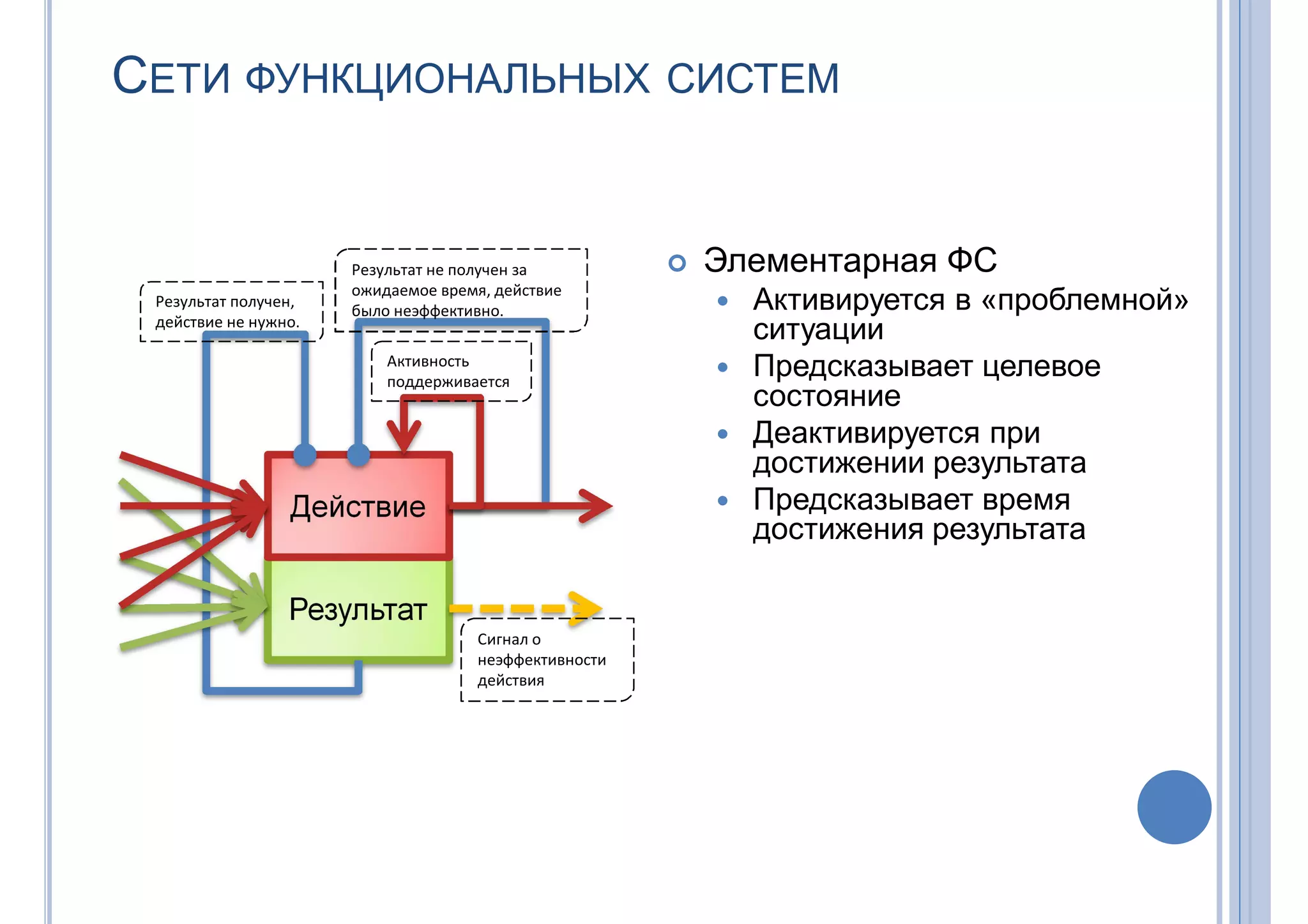 СЕТИ ФУНКЦИОНАЛЬНЫХ СИСТЕМ
Результат
Действие
 Элементарная ФС
 Активируется в «проблемной»
ситуации
 Предсказывает целевое
состояние
 Деактивируется при
достижении результата
 Предсказывает время
достижения результата
Результат получен,
действие не нужно.
Результат не получен за
ожидаемое время, действие
было неэффективно.
Активность
поддерживается
Сигнал о
неэффективности
действия
 