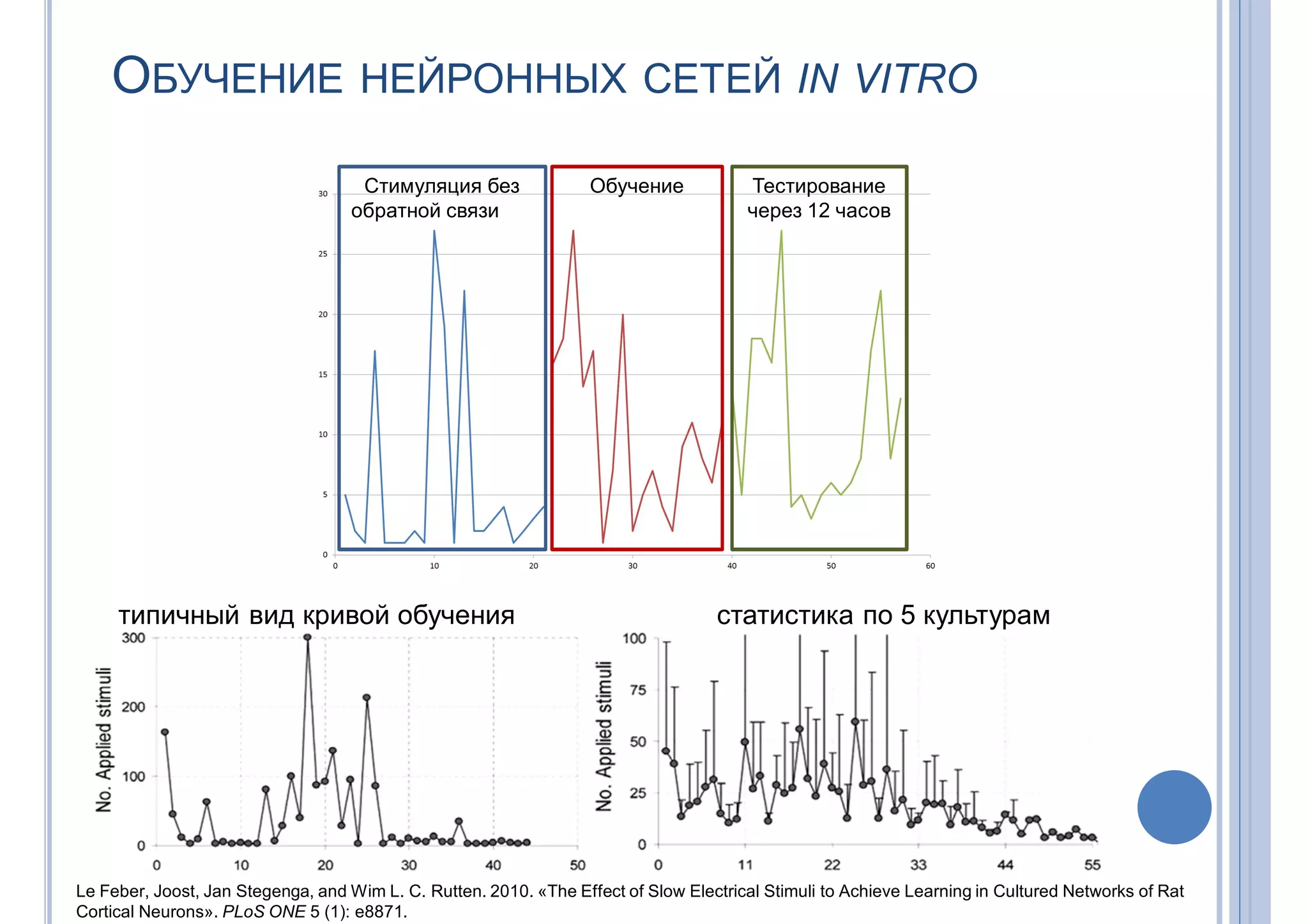 ОБУЧЕНИЕ НЕЙРОННЫХ СЕТЕЙ IN VITRO
типичный вид кривой обучения статистика по 5 культурам
Le Feber, Joost, Jan Stegenga, and Wim L. C. Rutten. 2010. «The Effect of Slow Electrical Stimuli to Achieve Learning in Cultured Networks of Rat
Cortical Neurons». PLoS ONE 5 (1): e8871.
Стимуляция без
обратной связи
Обучение Тестирование
через 12 часов
 