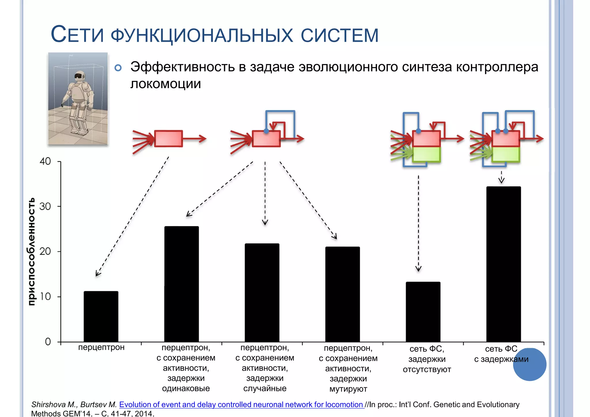СЕТИ ФУНКЦИОНАЛЬНЫХ СИСТЕМ
 Эффективность в задаче эволюционного синтеза контроллера
локомоции
перцептрон перцептрон,
с сохранением
активности,
задержки
одинаковые
перцептрон,
с сохранением
активности,
задержки
случайные
перцептрон,
с сохранением
активности,
задержки
мутируют
сеть ФС,
задержки
отсутствуют
сеть ФС
с задержками
Shirshova M., Burtsev M. Evolution of event and delay controlled neuronal network for locomotion //In proc.: Int’l Conf. Genetic and Evolutionary
Methods GEM’14. – С. 41-47, 2014.
 