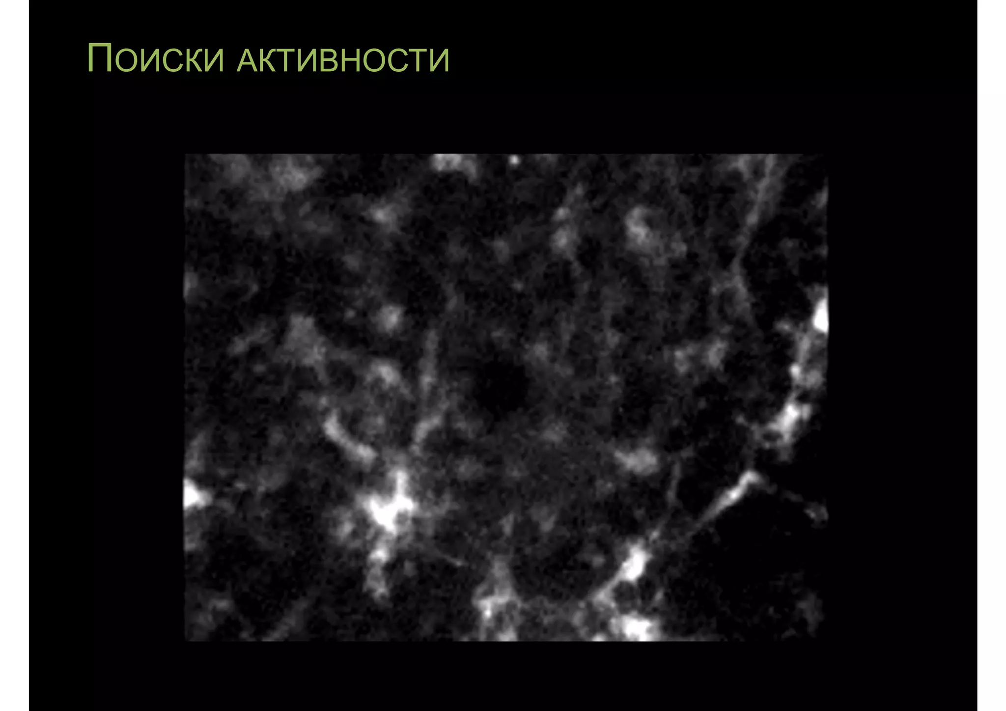 ПОИСКИ АКТИВНОСТИ
 