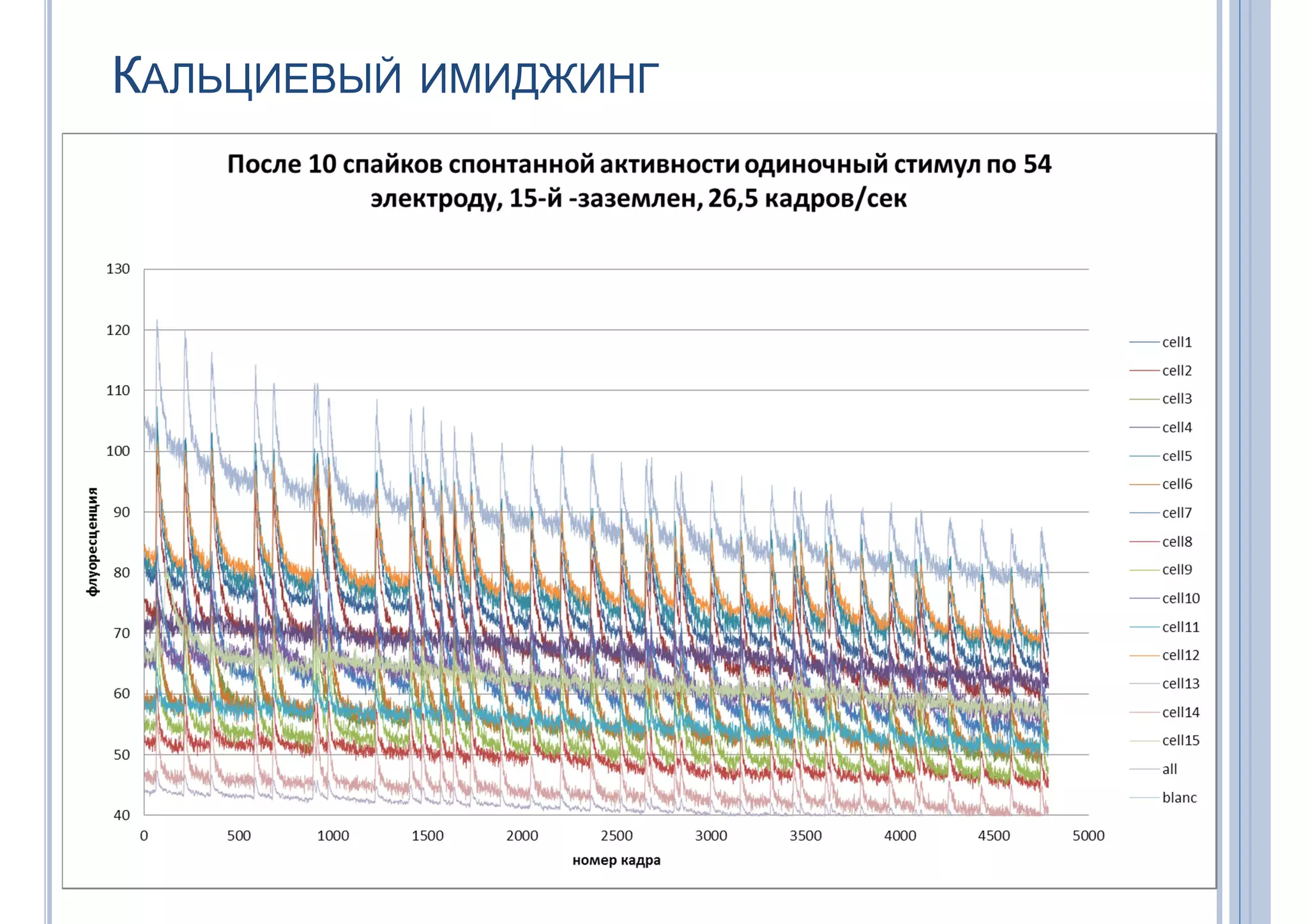 КАЛЬЦИЕВЫЙ ИМИДЖИНГ
 