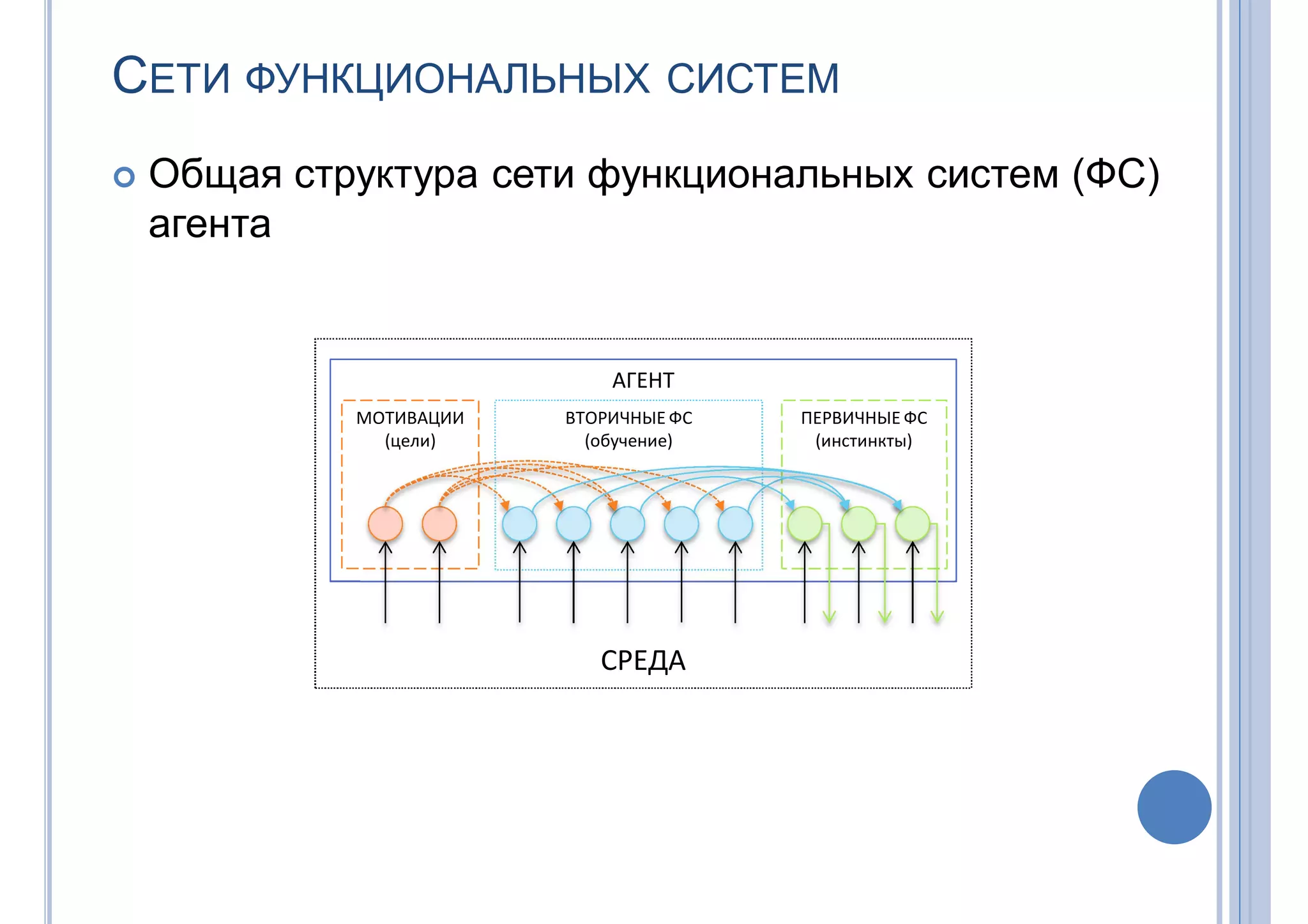 СЕТИ ФУНКЦИОНАЛЬНЫХ СИСТЕМ
 Общая структура сети функциональных систем (ФС)
агента
СРЕДА
АГЕНТ
МОТИВАЦИИ
(цели)
ВТОРИЧНЫЕ ФС
(обучение)
ПЕРВИЧНЫЕ ФС
(инстинкты)
 