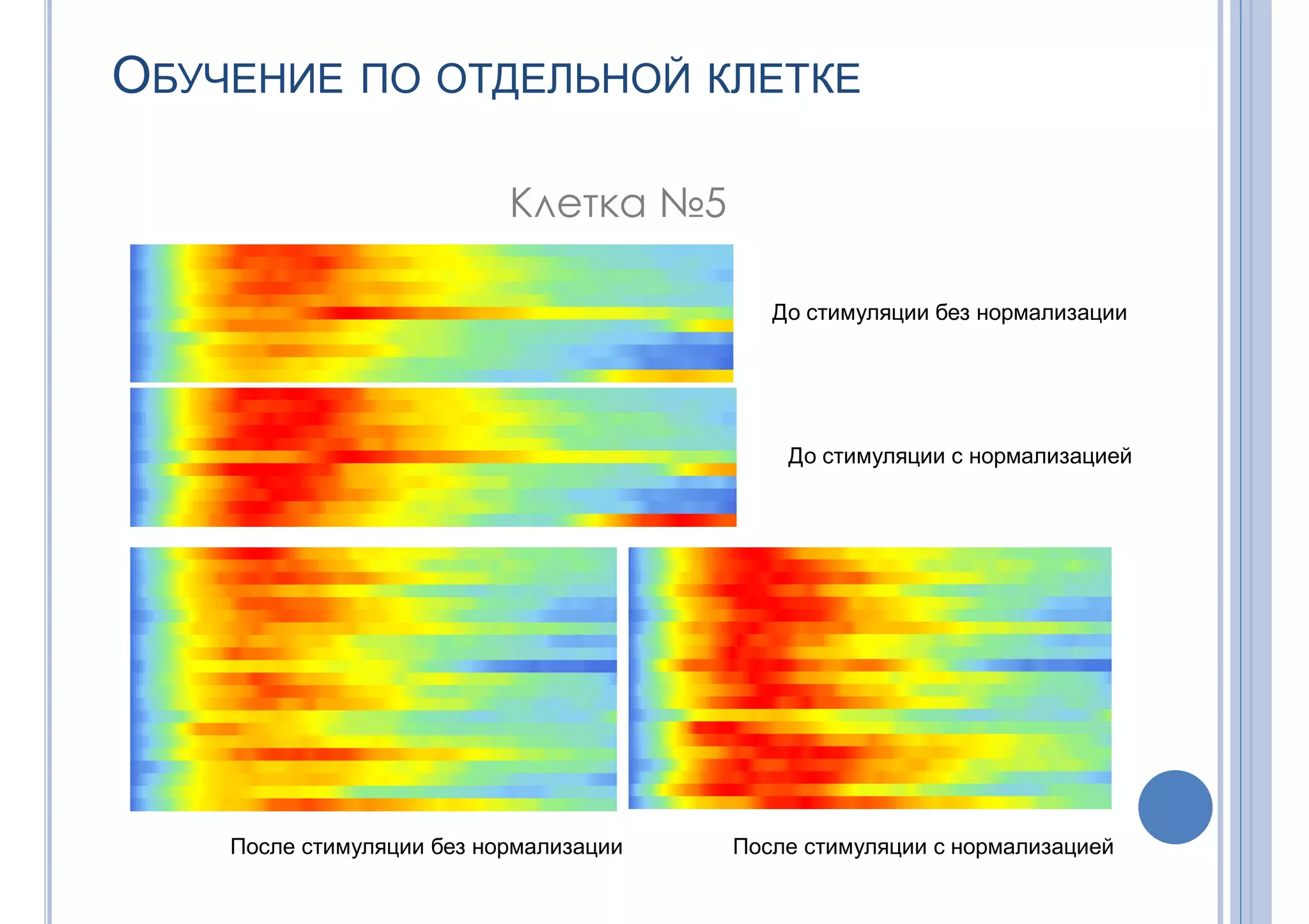 ОБУЧЕНИЕ ПО ОТДЕЛЬНОЙ КЛЕТКЕ
Клетка №5
После стимуляции с нормализациейПосле стимуляции без нормализации
До стимуляции с нормализацией
До стимуляции без нормализации
 
