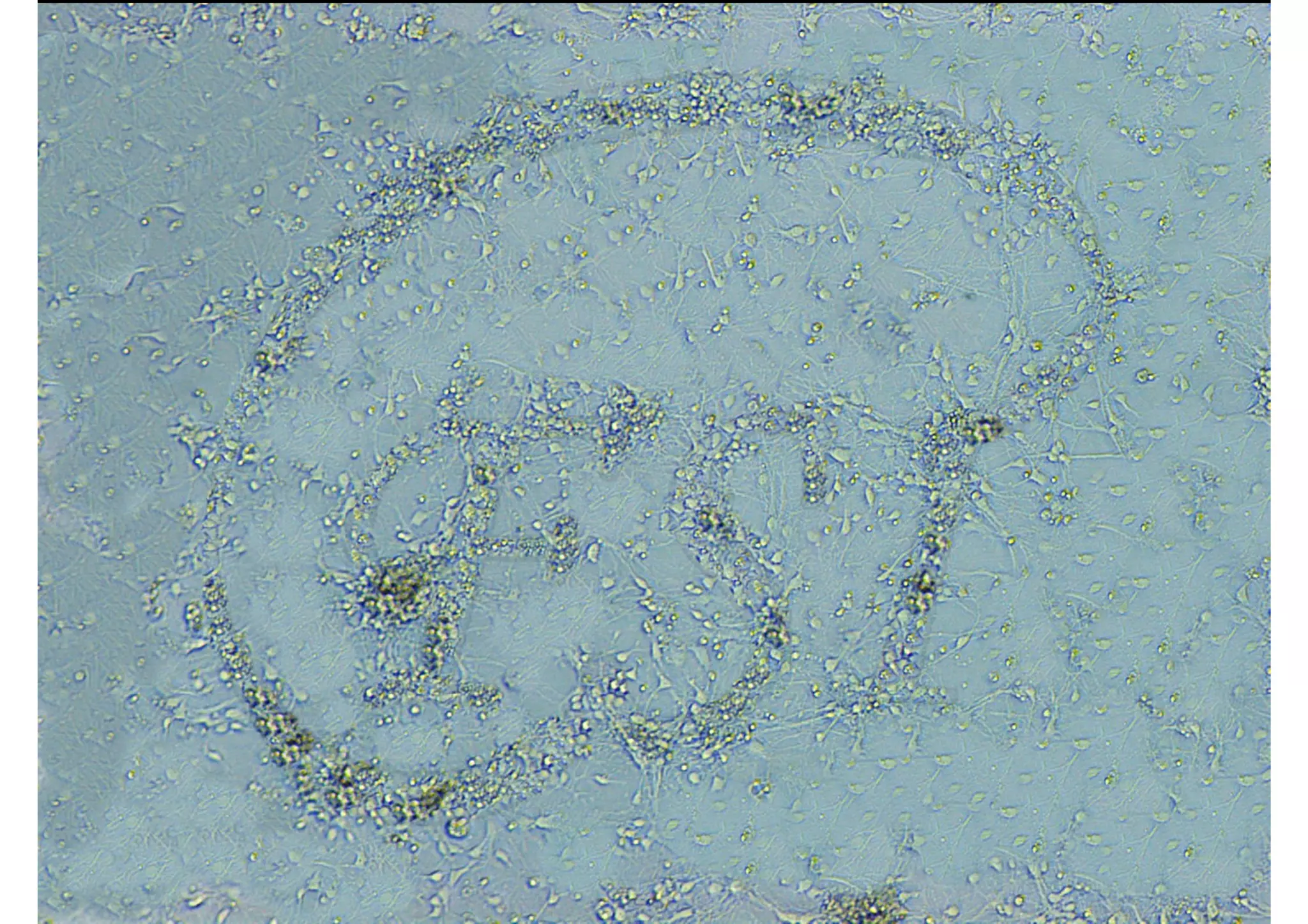 Lab progress report 2011-2015