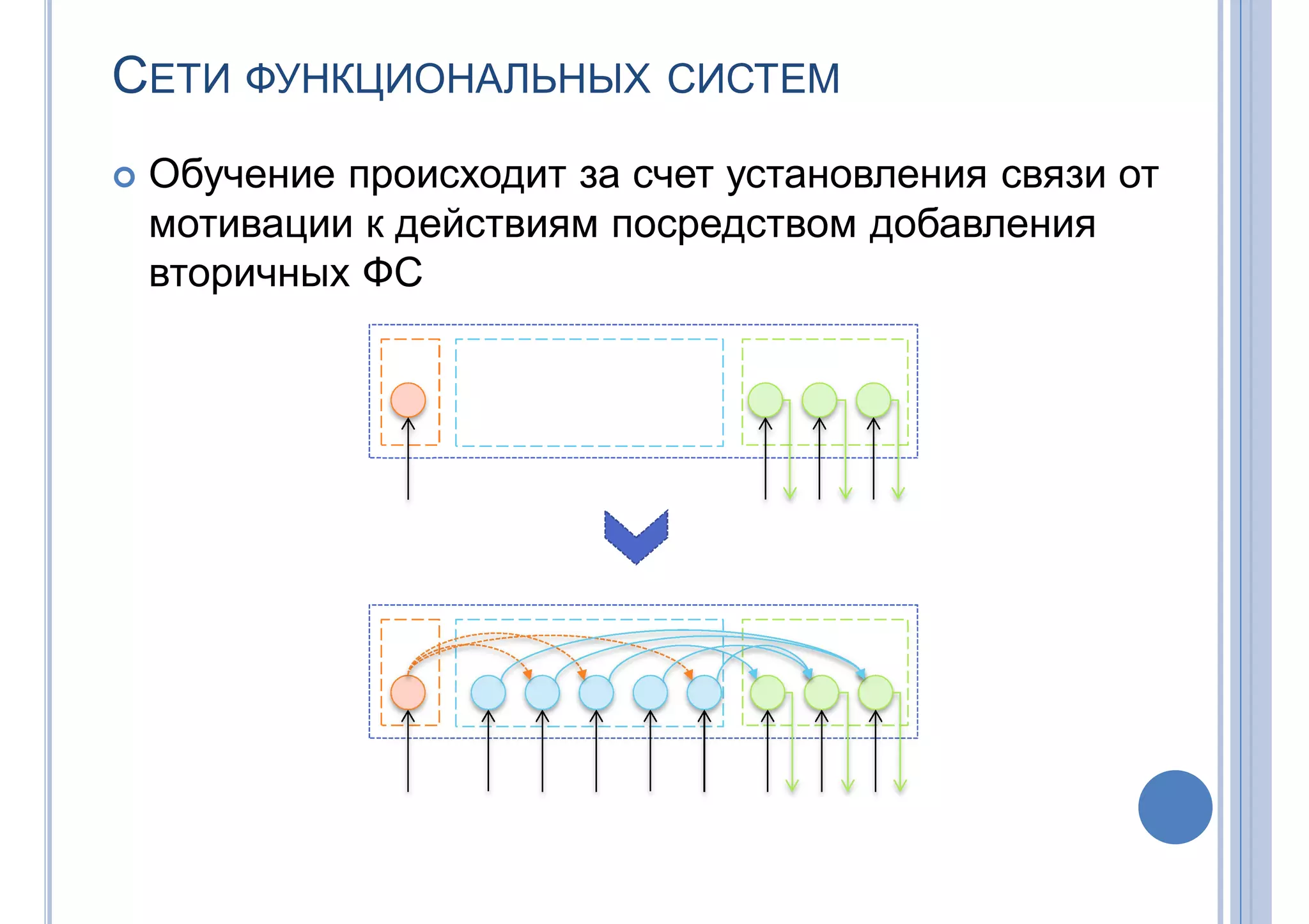 СЕТИ ФУНКЦИОНАЛЬНЫХ СИСТЕМ
 Обучение происходит за счет установления связи от
мотивации к действиям посредством добавления
вторичных ФС
 