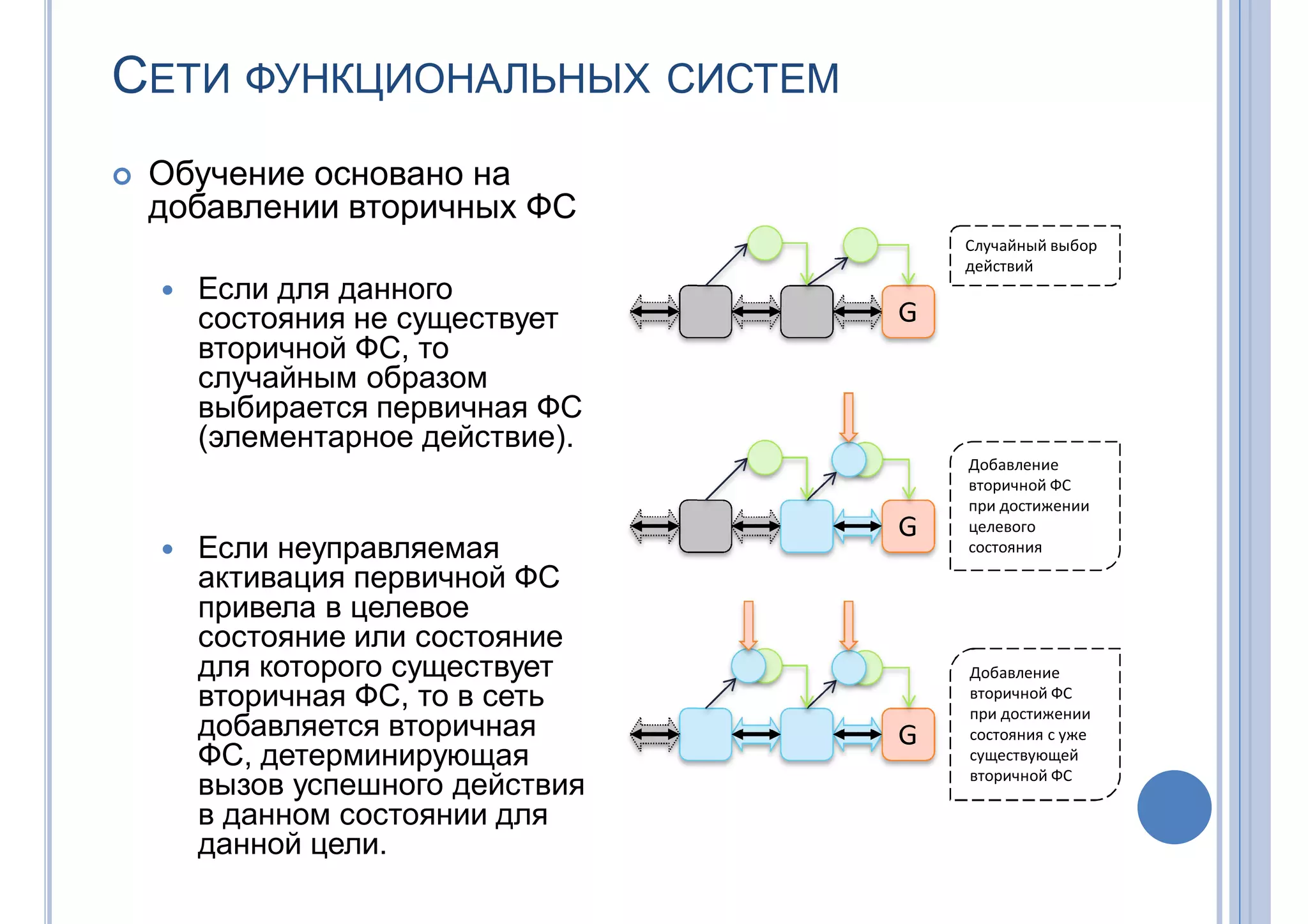 СЕТИ ФУНКЦИОНАЛЬНЫХ СИСТЕМ
 Обучение основано на
добавлении вторичных ФС
 Если для данного
состояния не существует
вторичной ФС, то
случайным образом
выбирается первичная ФС
(элементарное действие).
 Если неуправляемая
активация первичной ФС
привела в целевое
состояние или состояние
для которого существует
вторичная ФС, то в сеть
добавляется вторичная
ФС, детерминирующая
вызов успешного действия
в данном состоянии для
данной цели.
G
G
G
Случайный выбор
действий
Добавление
вторичной ФС
при достижении
целевого
состояния
Добавление
вторичной ФС
при достижении
состояния с уже
существующей
вторичной ФС
 