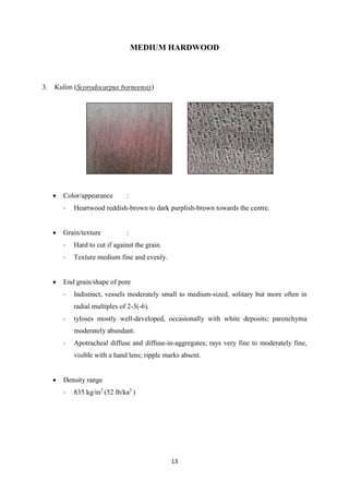13
MEDIUM HARDWOOD
3. Kulim (Scorodocarpus borneensis)
 Color/appearance :
- Heartwood reddish-brown to dark purplish-brown towards the centre.
 Grain/texture :
- Hard to cut if against the grain.
- Texture medium fine and evenly.
 End grain/shape of pore
- Indistinct, vessels moderately small to medium-sized, solitary but more often in
radial multiples of 2-3(-6).
- tyloses mostly well-developed, occasionally with white deposits; parenchyma
moderately abundant.
- Apotracheal diffuse and diffuse-in-aggregates; rays very fine to moderately fine,
visible with a hand lens; ripple marks absent.
 Density range
- 835 kg/m3
(52 lb/ka3
)
 