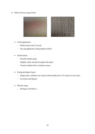 16
6. Pulai (Alstonia angustiloba)
 Color/appearance :
- White cream color of wood.
- Zig zag appearance along tangent surface.
 Grain/texture :
- Smooth solitary grain.
- Slightly really smooth cut against the grain.
- Texture medium fine to medium coarse.
 End grain/shape of pore
- Single pores, medium size of pore and normally have 2-9 vessels in one series.
- no tyloses and deposit
 Density range
- 464 kg/m3
(29 lb/ka3
)
 