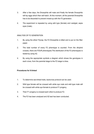 LAB REPORT DROSOPHILA MELANOGASTER | DOC