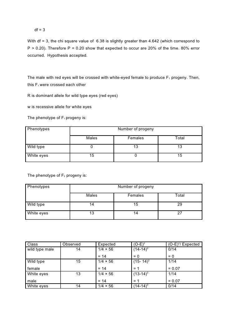 fruit fly lab report magdalene project org drosophila melanogaster lab report