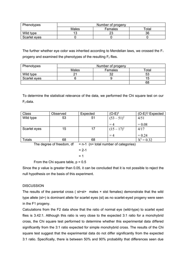 LAB REPORT DROSOPHILA MELANOGASTER | DOC