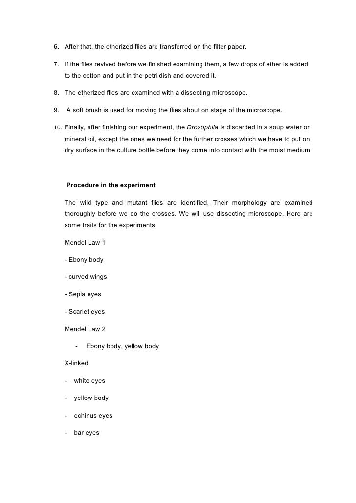 lab report drosophila melanogaster drosophila melanogaster lab report