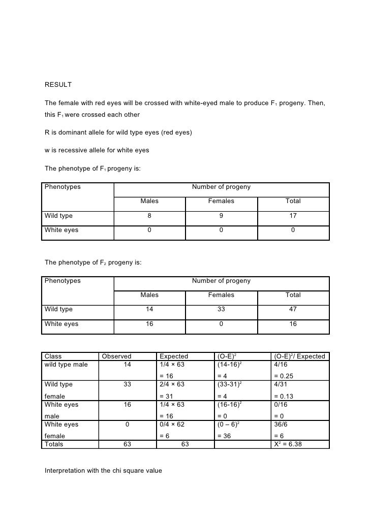 drosophilia cross lab report essay essay sample writing drosophila melanogaster lab report