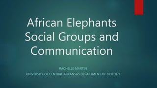 African Elephants
Social Groups and
Communication
RACHELLE MARTIN
UNIVERSITY OF CENTRAL ARKANSAS DEPARTMENT OF BIOLOGY
 