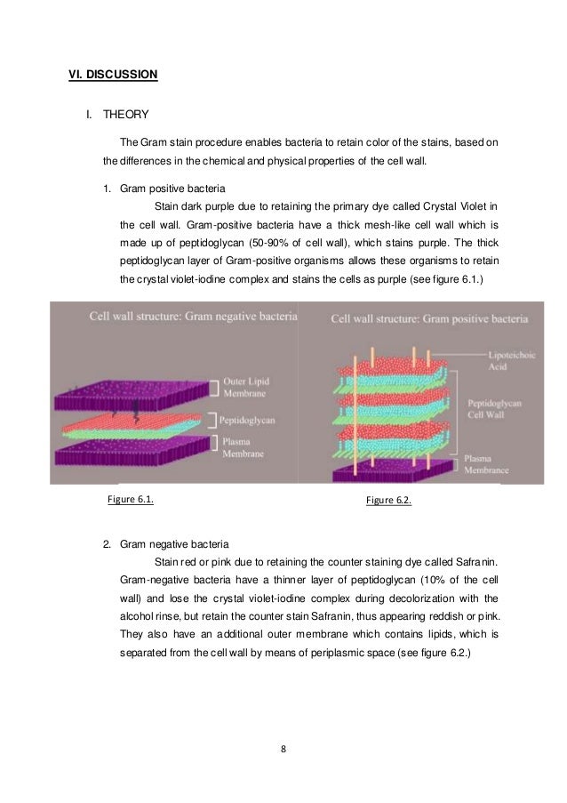 Book report on bacteria