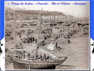 « Triage des huitres » Cancale – Ille-et-Vilaine - Anonyme
 