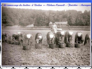 « Le ramassage des huitres à Doelan » - Clohars-Carnoët – Finistère - Anonyme
 