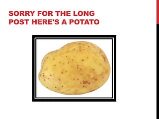 SORRY FOR THE LONG 
POST HERE'S A POTATO 
