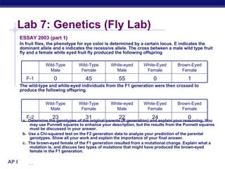 Lab review | PPT