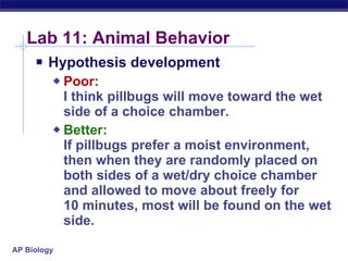 Lab review | PPT