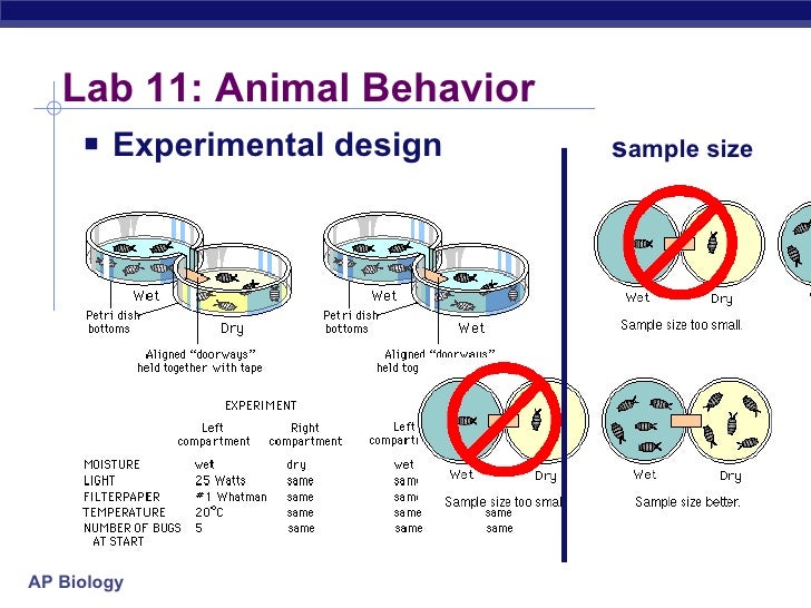 essay 2002 the human genome illustrates both continuity and change The human genome illustrates both continuity and change the human genome illustrates both continuity and changr describe theuse of bacterial plasmid to clone n sequen what evolutionary or scientific theories best explain missing genes in the human genome more questions. essay 2002 the human genome illustrates both continuity and change The human genome illustrates both continuity and change the human genome illustrates both continuity and changr describe theuse of bacterial plasmid to clone n sequen what evolutionary or scientific theories best explain missing genes in the human genome more questions.