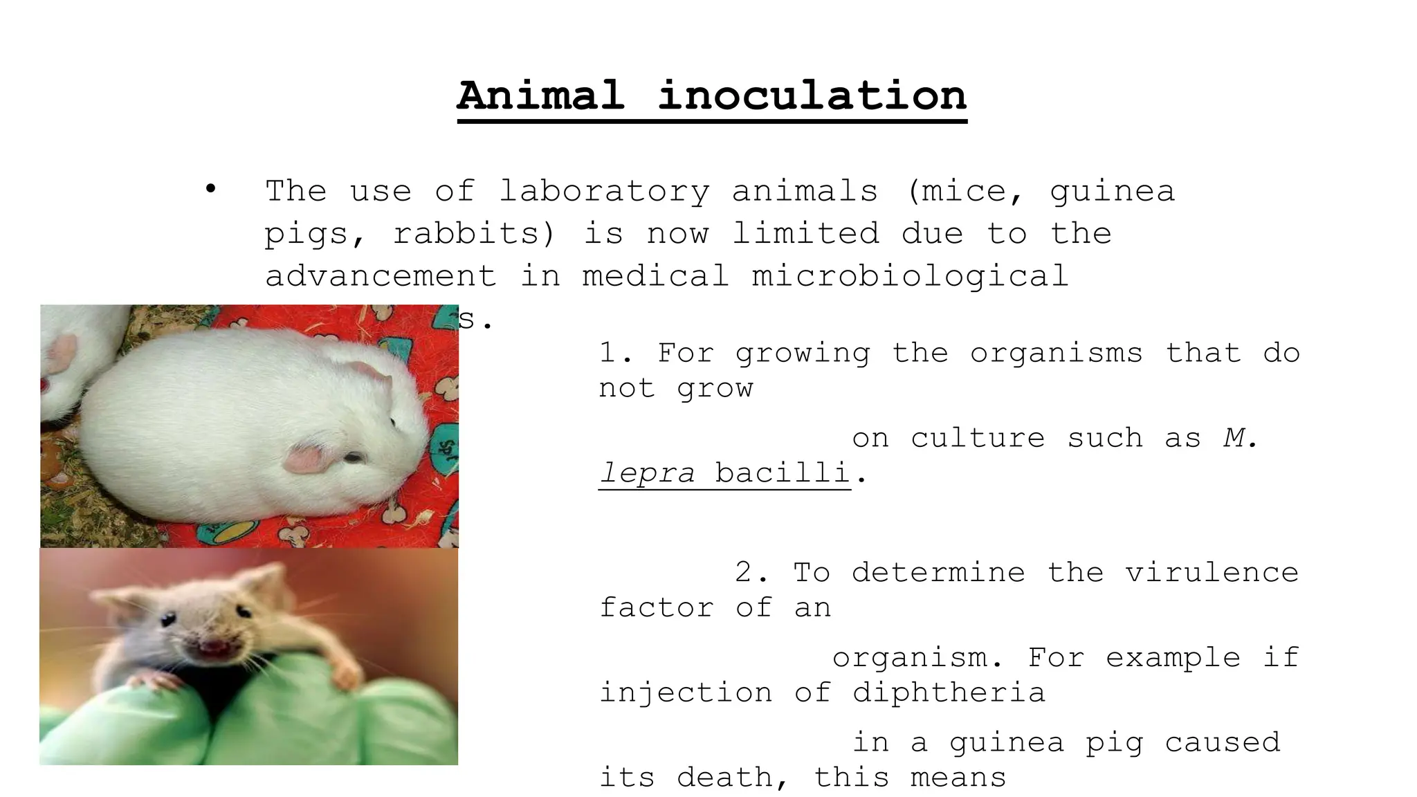 Review hematology diagnosis in veterinary | PPTX