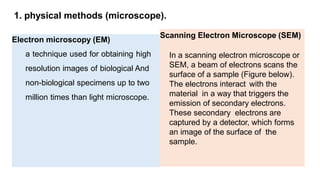 Review hematology diagnosis in veterinary | PPTX