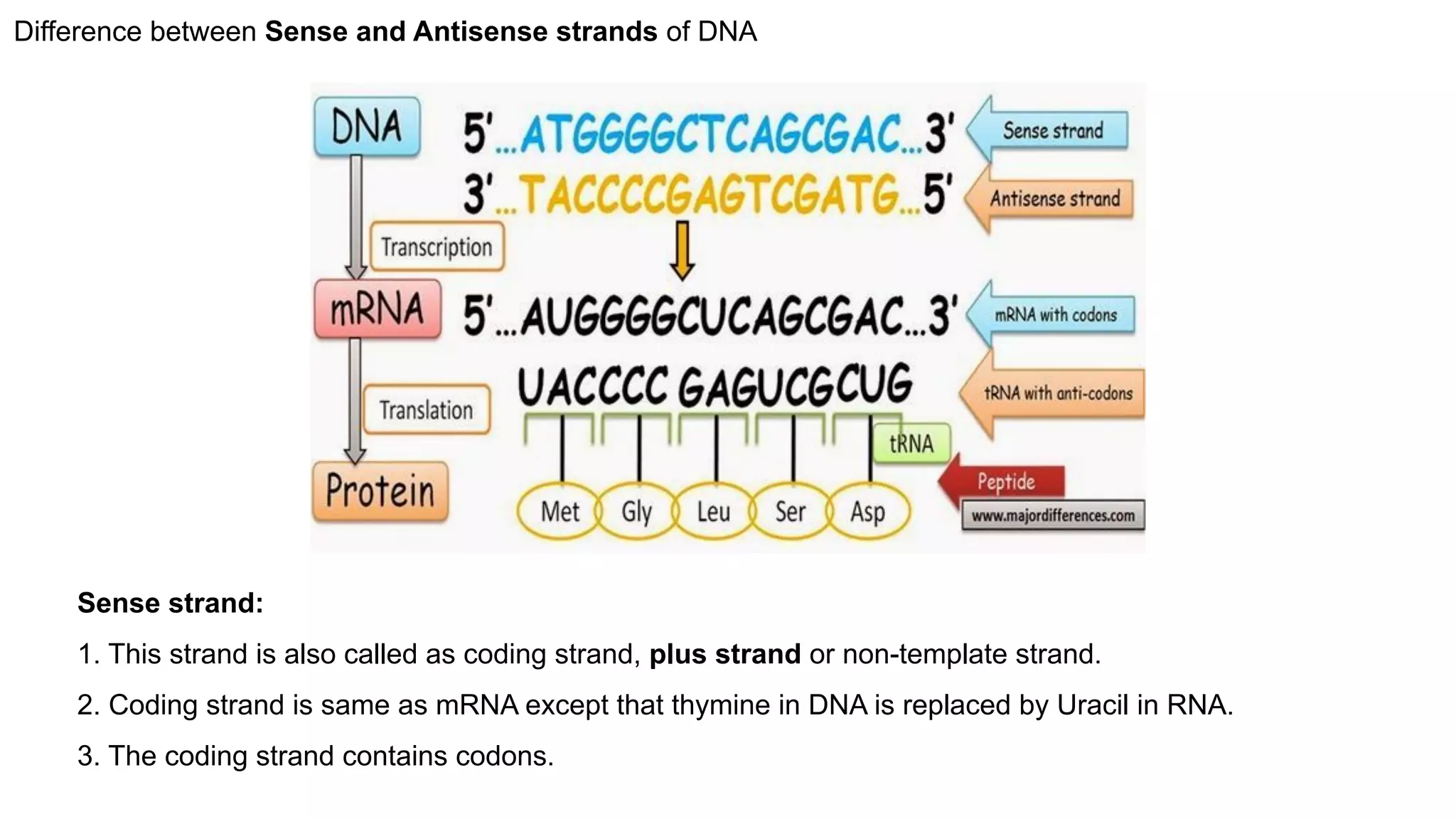 Review Class on Introduction to Bioinformatics | PPT