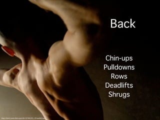 Back

                                                             Chin-ups
                                                            Pulldowns
                                                               Rows
                                                            Deadlifts
                                                              Shrugs


http://farm1.static.ﬂickr.com/56/107485767_791acafb55.jpg
 