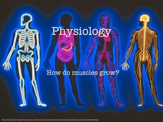 Physiology


                                                            How do muscles grow?




http://www.google.com/imgres?imgurl=http://needfornurse.ﬁles.wordpress.com/2010/03/anatomy-physiology-student-tutorial-800x800.jpg
 