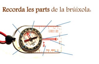 Recorda les parts de la brúixola:
 