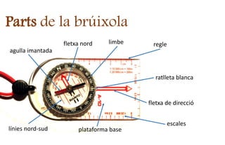 Parts de la brúixola
agulla imantada
fletxa nord
línies nord-sud
fletxa de direcció
regle
plataforma base
limbe
escales
ratlleta blanca
 