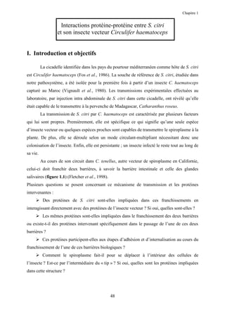 Chapitre 1


                     Interactions protéine-protéine entre S. citri
                   et son insecte vecteur Circulifer haematoceps


I. Introduction et objectifs

          La cicadelle identifiée dans les pays du pourtour méditerranéen comme hôte de S. citri
est Circulifer haematoceps (Fos et al., 1986). La souche de référence de S. citri, étudiée dans
notre pathosystème, a été isolée pour la première fois à partir d’un insecte C. haematoceps
capturé au Maroc (Vignault et al., 1980). Les transmissions expérimentales effectuées au
laboratoire, par injection intra abdominale de S. citri dans cette cicadelle, ont révélé qu’elle
était capable de le transmettre à la pervenche de Madagascar, Catharanthus roseus.
          La transmission de S. citri par C. haematoceps est caractérisée par plusieurs facteurs
qui lui sont propres. Premièrement, elle est spécifique ce qui signifie qu’une seule espèce
d’insecte vecteur ou quelques espèces proches sont capables de transmettre le spiroplasme à la
plante. De plus, elle se déroule selon un mode circulant-multipliant nécessitant donc une
colonisation de l’insecte. Enfin, elle est persistante ; un insecte infecté le reste tout au long de
sa vie.
          Au cours de son circuit dans C. tenellus, autre vecteur de spiroplasme en Californie,
celui-ci doit franchir deux barrières, à savoir la barrière intestinale et celle des glandes
salivaires (figure 1.1) (Fletcher et al., 1998).
Plusieurs questions se posent concernant ce mécanisme de transmission et les protéines
intervenantes :
           Des protéines de S. citri sont-elles impliquées dans ces franchissements en
interagissant directement avec des protéines de l’insecte vecteur ? Si oui, quelles sont-elles ?
           Les mêmes protéines sont-elles impliquées dans le franchissement des deux barrières
ou existe-t-il des protéines intervenant spécifiquement dans le passage de l’une de ces deux
barrières ?
           Ces protéines participent-elles aux étapes d’adhésion et d’internalisation au cours du
franchissement de l’une de ces barrières biologiques ?
           Comment le spiroplasme fait-il pour se déplacer à l’intérieur des cellules de
l’insecte ? Est-ce par l’intermédiaire du « tip » ? Si oui, quelles sont les protéines impliquées
dans cette structure ?




                                                   48
 