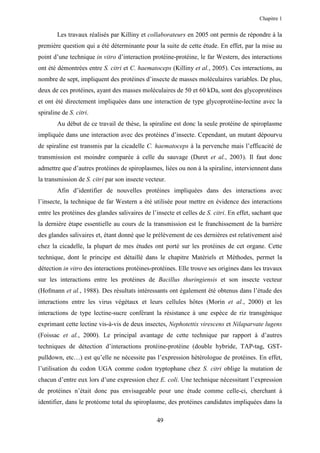Chapitre 1


        Les travaux réalisés par Killiny et collaborateurs en 2005 ont permis de répondre à la
première question qui a été déterminante pour la suite de cette étude. En effet, par la mise au
point d’une technique in vitro d’interaction protéine-protéine, le far Western, des interactions
ont été démontrées entre S. citri et C. haematoceps (Killiny et al., 2005). Ces interactions, au
nombre de sept, impliquent des protéines d’insecte de masses moléculaires variables. De plus,
deux de ces protéines, ayant des masses moléculaires de 50 et 60 kDa, sont des glycoprotéines
et ont été directement impliquées dans une interaction de type glycoprotéine-lectine avec la
spiraline de S. citri.
        Au début de ce travail de thèse, la spiraline est donc la seule protéine de spiroplasme
impliquée dans une interaction avec des protéines d’insecte. Cependant, un mutant dépourvu
de spiraline est transmis par la cicadelle C. haematoceps à la pervenche mais l’efficacité de
transmission est moindre comparée à celle du sauvage (Duret et al., 2003). Il faut donc
admettre que d’autres protéines de spiroplasmes, liées ou non à la spiraline, interviennent dans
la transmission de S. citri par son insecte vecteur.
        Afin d’identifier de nouvelles protéines impliquées dans des interactions avec
l’insecte, la technique de far Western a été utilisée pour mettre en évidence des interactions
entre les protéines des glandes salivaires de l’insecte et celles de S. citri. En effet, sachant que
la dernière étape essentielle au cours de la transmission est le franchissement de la barrière
des glandes salivaires et, étant donné que le prélèvement de ces dernières est relativement aisé
chez la cicadelle, la plupart de mes études ont porté sur les protéines de cet organe. Cette
technique, dont le principe est détaillé dans le chapitre Matériels et Méthodes, permet la
détection in vitro des interactions protéines-protéines. Elle trouve ses origines dans les travaux
sur les interactions entre les protéines de Bacillus thuringiensis et son insecte vecteur
(Hofmann et al., 1988). Des résultats intéressants ont également été obtenus dans l’étude des
interactions entre les virus végétaux et leurs cellules hôtes (Morin et al., 2000) et les
interactions de type lectine-sucre conférant la résistance à une espèce de riz transgénique
exprimant cette lectine vis-à-vis de deux insectes, Nephotettix virescens et Nilaparvate lugens
(Foissac et al., 2000). Le principal avantage de cette technique par rapport à d’autres
techniques de détection d’interactions protéine-protéine (double hybride, TAP-tag, GST-
pulldown, etc…) est qu’elle ne nécessite pas l’expression hétérologue de protéines. En effet,
l’utilisation du codon UGA comme codon tryptophane chez S. citri oblige la mutation de
chacun d’entre eux lors d’une expression chez E. coli. Une technique nécessitant l’expression
de protéines n’était donc pas envisageable pour une étude comme celle-ci, cherchant à
identifier, dans le protéome total du spiroplasme, des protéines candidates impliquées dans la

                                                49
 