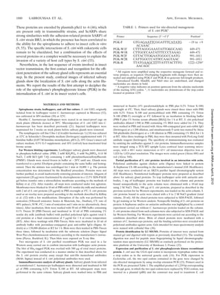 1880       LABROUSSAA ET AL.                                                                                                           APPL. ENVIRON. MICROBIOL.


These proteins are encoded by plasmids pSci1 to -6 (46), which                                 TABLE 1. Primers used for site-directed mutagenesis
are present only in transmissible strains, and ScARPs share                                                    of S. citri PGKa
strong similarities with the adhesion-related protein SARP1 of                            Primer                      Sequence (5Ј33Ј)b                       Positionc
S. citri strain BR3, in which the presence has been correlated to
                                                                                       PGK-F             GTGAGAATTCGGATTTCATATG                             Ϫ19 to ϩ9
the ability for the spiroplasma to adhere to insect cells in vitro                                         ACAAAC
(9, 55). The speciﬁc interactions of S. citri with eukaryotic cells                    PGK-W1F           CTTTAGGGAAATATTGGGCAAG                             449–471
remain to be elucidated, but a combination of the effects of                           PGK-W1R           CTTGCCCAATATTTCCCTAAAG                             449–471
several proteins or a complex would be necessary to explain the                        PGK-W2F           GTTACTTGGAATGGGCCAATG                              991–1011
invasion of a variety of host cell types by S. citri (33).                             PGK-W2R           CATTGGCCCATTCCAAGTAAC                              991–1011
                                                                                       PGK-R             TTATGAAGCTTTTATTTACTTTG                           1222–1250*
   Nevertheless, in the last sequence of events involved in insect                                         AACAGC
vector transmission, the ﬁrst contact and recognition for the efﬁ-
                                                                                         a
                                                                                           All regions were ampliﬁed using the respective mutagenic forward and re-
cient penetration of the salivary gland cells represents an essential                  verse primers, as required. Overlapping fragments with changes were then an-
step. In the present study, confocal images of infected salivary                       nealed and ampliﬁed using PGK-F and PGK-R to generate full-length products.
                                                                                         b
glands show the localization of S. citri cells along the actin ﬁla-                        Introduced EcoRI, HindIII, and NdeI sites are underlined, and changed
                                                                                       nucleotides are shown in bold.
ments. We report the results of the ﬁrst attempt to decipher the                         c
                                                                                           A negative value indicates an position upstream from the adenine nucleotide
role of the spiroplasma’s phosphoglycerate kinase (PGK) in the                         of the starting ATG codon. *, 11 nucleotides are downstream of the stop codon
internalization of S. citri in its insect vector’s cells.                              located at position 1239.



                         MATERIALS AND METHODS
                                                                                       immersed in ﬁxative (4% paraformaldehyde in PBS plus 0.2% Triton X-100)
   Spiroplasma strain, leafhoppers, and cell line culture. S. citri GII3, originally   overnight at 4°C. Then, ﬁxed salivary glands were rinsed three times with PBS




                                                                                                                                                                             Downloaded from aem.asm.org at INRA on April 6, 2010
isolated from its leafhopper vector C. haematoceps captured in Morocco (52),           with 0.2% Triton X-100 and permeabilized with PBS containing 1% Triton
was cultivated in SP4 medium (50) at 32°C.                                             X-100 (PBS-T) overnight at 4°C followed by an incubation in blocking buffer
   Healthy C. haematoceps leafhoppers were reared in an insect-proof cage on           (PBS-T plus 1% bovine serum albumin [BSA]) for 1 h at RT. S. citri polyclonal
stock plants (Mattiola incana) at 30°C. Microinjection of S. citri GII3 into C.        antibodies diluted 1:500 in PBS containing 1% BSA were added for 2 h. They
haematoceps has been described previously (21). Injected leafhoppers were              were washed in PBS and treated with Alexa 488-conjugated goat anti-rabbit IgG
maintained for 2 weeks on stock plants before salivary glands were removed.            (Invitrogen) at a 1:200 dilution, and simultaneously F-actin was stained by Alexa
   The nonphagocyte cell line Ciha-1 (Circulifer haematoceps 1) (18) was cultured      568-phalloidin (Invitrogen) at a 1:40 dilution in PBS containing 1% BSA for 1 h
at 32°C in Schneider’s Drosophila medium (Invitrogen) supplemented with 1%             at RT. After three washings in PBS, they were then mounted with ProLong Gold
histidine buffer (0.057 M histidine monohydrate, pH 6.2), 10% Grace’s insect cell      antifade reagent (Invitrogen). The speciﬁcity of immunostaining was evaluated
culture medium, 0.5% G-5 supplement, and 10% (vol/vol) heat-inactivated fetal          by omitting the antibodies against S. citri proteins. Immunoﬂuorescence samples
bovine serum.                                                                          were imaged using a TCS SP2 upright Leica confocal laser scanning micro-
   Far Western blotting experiments. Leafhopper salivary glands were dissected         scope, with a 40ϫ water immersion or 63ϫ oil immersion objective lens at
in phosphate-buffered saline (PBS; 2 mM KH2PO4, 8 mM Na2HPO4, 0.14 M                   1,024 by 1,024 pixel resolution. The images were coded green (Alexa 488) and
NaCl, 2 mM KCl [pH 7.4]) containing 1 mM phenylmethanesulfonylﬂuoride                  red (Alexa 568).
(PMSF). Glands were stored frozen in buffer at Ϫ20°C until use. Glands were               Partial puriﬁcation of S. citri proteins involved in an interaction with actin.
transferred to a potter Elvehjem grinder containing the same buffer and homog-         Polyclonal antibodies against chicken actin (Sigma) were linked to protein
enized. Then the mixture was centrifuged for 1 min at 10,000 ϫ g. The protein          A–Sepharose CL-4B according to the manufacturer’s manual (GE Healthcare).
concentration was determined by the Bradford procedure. Proteins were not                                                  ¨
                                                                                       All steps were conducted on an AKTA puriﬁer liquid chromatography system
further puriﬁed, to avoid inadvertently removing proteins of interest. Aliquots of     (GE Healthcare). Noninfected leafhopper proteins were prepared as described
supernatant (20 ␮g) were fractionated by electrophoresis in a 12.5% SDS-PAGE           above for salivary gland proteins. To trap leafhopper actin with antiactin anti-
gel before transfer onto a nitrocellulose membrane according to the methods of         bodies, 1 mg of leafhopper proteins was loaded on the column and proteins
Killiny et al. (32). After transfer, all steps were conducted under low agitation.     bound nonspeciﬁcally to the actin column were eliminated with a 10-ml step
Membranes were blocked in 10 ml of PBS with 6% nonfat dry milk and incubated           using 2 M NaCl. Then, 500 ␮g of S. citri proteins, prepared as described in the
with 2 ml of S. citri proteins (20 ␮g/ml) in PBS overnight at 4°C. S. citri proteins   previous section for far Western experiments, was loaded on the actin column. S.
used as an overlay were prepared according to the methods described by Killiny         citri proteins bound to actin were eluted with a 0 to 2 M NaCl gradient (total
et al. (32) with a few modiﬁcations. Disruption of the cells was performed by          volume, 20 ml). All the eluted proteins were subjected to SDS-PAGE, followed
sonication (Vibracell sonicator; Sonics & Materials, Inc., Danbury, CT; rate of        by gel staining or far Western analysis. Nonspeciﬁc binding of S. citri proteins on
40% pulses/s, 50 W, 4°C; 1 min of sonication and 1 min on ice alternatively, three     protein A-Sepharose and/or on antiactin antibodies was highlighted by a control
times). After incubation, blots were washed with 50 ml of PBS buffer containing        experiment carried out without C. haematoceps proteins loaded on the column.
0.1% Tween 20 (PBS-Tween) and incubated in 10 ml of PBS containing 1%                  S. citri proteins eluted from such columns were also subjected to SDS-PAGE and
nonfat dry milk (antibody buffer) with puriﬁed polyclonal IgGs against total S.        far Western blotting. Far Western experiments were carried out according to the
citri proteins at a ﬁnal concentration of 5 ␮g/ml for 1 h at room temperature          conditions described above. Blots of eluted proteins were incubated with a
(RT). After three washings with PBS-Tween, blots were incubated in 10 ml of            mixture of C. haematoceps proteins, and the binding activities were revealed with
antibody buffer with peroxidase-conjugated goat anti-rabbit IgGs (Sigma Al-            polyclonal antibodies against actin. Gels intended for mass spectrometry analysis
drich) at a 1:50,000 dilution at RT for 1 h. Blots were then washed in PBS-Tween       were stained with colloidal blue (38).
three times, followed by incubation with the substrate solution (Super Signal             Protein identiﬁcation by LC-MS/MS. Proteins of interest were excised from
West Pico chemiluminescent substrate) according to the manufacturer’s instruc-         stained gel and digested with trypsin as previously described (31). The resulting
tions (Pierce, Rockford, IL). Then blots were exposed on X-ray ﬁlm.                    digestion was used for peptide mass ﬁngerprinting by liquid chromatography-
   Two micrograms of S. citri puriﬁed recombinant PGK was used in a far                tandem mass spectrometry (LC-MS/MS) as routinely performed on the proteo-
Western assay carried out to conﬁrm interaction with leafhopper actin protein.         mics platform of the University of Bordeaux 2, France (22).
The blot of His6-tagged PGK was overlaid with 500 ␮g of total insect proteins.            Expression and puriﬁcation of S. citri phosphoglycerate kinase recombinant
The experiment was conducted in a manner similar to that described above for           protein. S. citri uses the UGA opal codon to incorporate tryptophan rather than
the S. citri protein overlay assay except that anti-His monoclonal antibodies          a stop codon as in the universal genetic code (16). For PGK expression in
(MAb; Sigma) instead of S. citri polyclonal antibodies were used.                      Escherichia coli, the two opal codons contained in the gene were changed by
   Immunoﬂuorescence analysis of salivary glands. Salivary glands from infected        site-directed mutagenesis by using overlap extension PCR (23). Primers used in
or noninfected C. haematoceps leafhoppers were dissected and incubated in 500          the PCR are presented Table 1. The ampliﬁed product of 1,239 bp corresponding
␮l of PBS containing 0.2% Triton X-100 at RT. All subsequent steps were                to the pgk gene, in which the two opal codons were replaced by TGG codons, was
performed in the same volume. Salivary glands were washed twice in PBS and             inserted in a plasmid (pBS) and the construct was used to transform E. coli
 