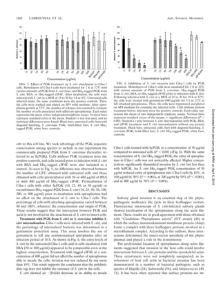 1884      LABROUSSAA ET AL.                                                                                              APPL. ENVIRON. MICROBIOL.




   FIG. 5. Effect of PGK treatment on S. citri attachment to Ciha-1              FIG. 6. Inhibition of S. citri invasion into Ciha-1 cells by PGK
cells. Monolayers of Ciha-1 cells were incubated for 2 h at 32°C with         treatment. Monolayers of Ciha-1 cells were incubated for 2 h at 32°C
various amounts of PGK from S. cerevisiae, and His6-tagged PGK from           with various amounts of PGK from S. cerevisiae, His6-tagged PGK
S. citri, BSA, or His6-tagged eIF4E. After incubation, the cells were         from S. citri, BSA, or His6-tagged eIF4E prior to infection with S. citri.
infected with S. citri at a MOI of 15 to 30 for 4 h at 4°C. Untreated cells   Following infection with S. citri at a MOI of 15 to 30 for 18 h at 32°C,
infected under the same conditions were the positive controls. Then,          the cells were treated with gentamicin (400 ␮g/ml) for 3 h at 32°C to
the cells were washed and plated on SP4 solid medium. After spiro-            kill attached spiroplasmas. Then, the cells were trypsinized and plated
plasma growth at 32°C, the number of colonies was counted to evaluate         on SP4 medium for counting the infected cells. Cells without protein




                                                                                                                                                           Downloaded from aem.asm.org at INRA on April 6, 2010
the number of cells associated with adherent spiroplasmas. Each value         treatment before infection were the positive controls. Each value rep-
represents the mean of two independent triplicate assays. Vertical lines      resents the mean of two independent triplicate assays. Vertical lines
represent standard error of the mean. Student’s t test was used, and no       represent standard errors of the means. *, signiﬁcant differences (P Ͻ
statistical differences were found. Black bars, untreated cells; bars with    0.001; Student’s t test) between S. citri internalization with PGK, BSA,
diagonal hatching, S. cerevisiae PGK; brick-ﬁlled bars, S. citri His6-        and eIF4E treatment and S. citri internalization without any protein
tagged PGK; white bars, controls.                                             treatment. Black bars, untreated cells; bars with diagonal hatching, S.
                                                                              cerevisiae PGK; brick-ﬁlled bars, S. citri His6-tagged PGK; white bars,
                                                                              controls.


citri to this cell line. We took advantage of the PGK sequence
conservation among species to include in our experiment the                   Ciha-1 cells treated with ScPGK at a concentration of 50 ␮g/ml
commercially prepared PGK from S. cerevisiae (hereafter re-                   compared to untreated cells (P Ͻ 0.001) (Fig. 6). With the same
ferred to as ScPGK). Cells without PGK treatment were the                     concentration of S. citri His6-tagged PGK, the entry of spiroplas-
positive controls, and cells treated prior to infection with S. citri         mas in Ciha-1 cells was not noticeably affected. Higher concen-
with BSA and His6-tagged eIF4E were also included as a                        trations signiﬁcantly diminished invasion by S. citri but less than
control. As seen in Fig. 5, no difference was observed between                with ScPGK. An S. citri His6-tagged PGK concentration of 50
the number of CFU obtained with untreated cells and those                     ␮g/ml reduced entry of spiroplasmas into Ciha-1 cells by 10%, at
obtained with cells preincubated with 50 or 400 ␮g/ml of BSA                  100 ␮g/ml by 30% (P Ͻ 0.001), at 200 ␮g/ml by 50% (P Ͻ 0.001),
or with 400 ␮g/ml of His6-tagged eIF4E. Preincubation of                      and at 400 ␮g/ml by 70% (P Ͻ 0.001).
Ciha-1 cells with either ScPGK (10, 25, 40, or 50 ␮g/ml) or
recombinant His6-tagged PGK from S. citri (10, 25, 40, 50, 100,                                           DISCUSSION
200, or 400 ␮g/ml) prior to incubation with spiroplasmas had
no effect on the attachment of S. citri to Ciha-1 cells. The                     Salivary gland invasion is an essential step of the phyto-
percentage of cells with attaching spiroplasmas varied between                pathogenic mollicutes life cycle in their leafhopper vectors.
80 and 100%, whatever the concentration and origin of PGK.                    Fluorescence microscopy of S. citri-infected salivary glands
These results suggest that the interaction between PGK and                    showed localization of the spiroplasmas along the actin ﬁla-
actin is not involved in the attachment of S. citri to insect cells.          ment. These results are in good agreement with those obtained
   Treatment with PGK from S. citri or S. cerevisiae inhibits S.              with “Candidatus Phytoplasma asteris” (OY strain) (48) in
citri internalization. Ciha-1 cells were infected with S. citri, and          which the surface immunodominant membrane protein (Amp)
the percentage of internalized bacteria was determined in a                   forms a complex with three leafhopper proteins involved in a
gentamicin protection assay. This assay involves the use of                   microﬁlament complex. According to the authors, these inter-
gentamicin to kill any noninternalized spiroplasma after an                   actions determined the insect-vector speciﬁcity of the phyto-
infection period of 18 h. As shown in Fig. 6, the entry levels of             plasmas and played a role in the transmission.
S. citri in the untreated Ciha-1 cells and in cells incubated with               The preferential location of spiroplasmas along actin ﬁla-
BSA (50 or 400 ␮g/ml) appeared to be comparable even at the                   ments suggested that invasion in the host cells could involve
highest concentration. Treatment with tagged eIF4E at a con-                  interactions between S. citri proteins and the cytoskeletal actin.
centration of 400 ␮g/ml did not affect the number of spiroplasmas             These occurrences were not completely unexpected, as in-
able to invade the cells; invasion was not reduced by any more                volvement of host cell actin in bacterial invasion has been
than 10%. This result supports the conclusion that the polyhisti-             demonstrated in a number of bacterial pathogens, such as
dine tag does not inhibit the entrance of S. citri in the cells.              species of Shigella (24), Salmonella (56), and Streptococcus (40,
   S. citri showed an ϳ20-fold decrease in its ability to invade              51). It has been often reported that surface proteins are im-
 